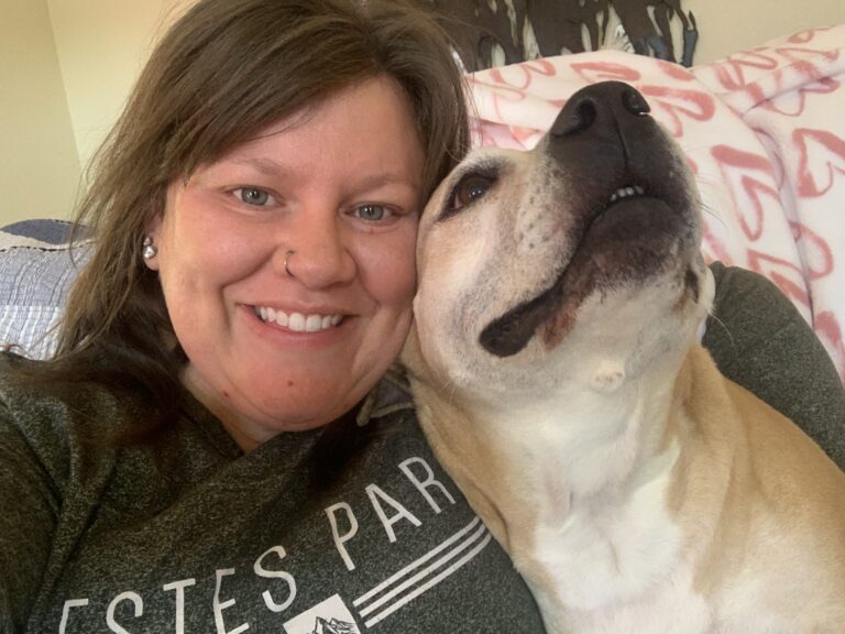 How To Get Started Pet Sitting And Care By Emily